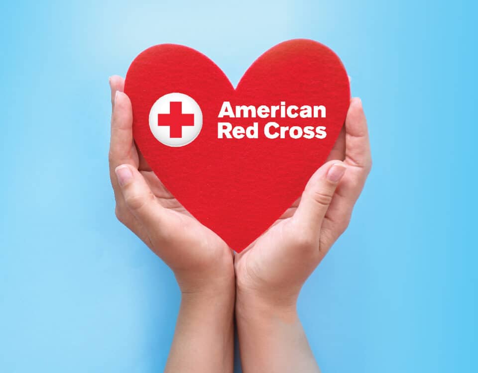 Hands holding felt heart with red cross logo