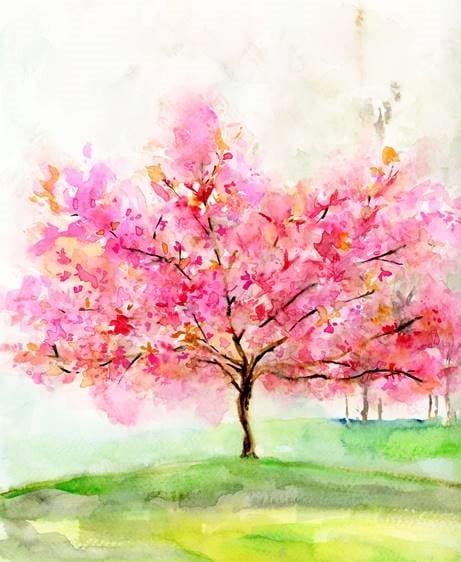 Adult Art: Cherry Blossoms