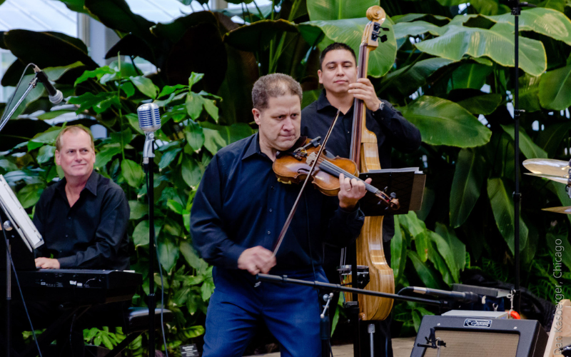 James Sanders, Kevin O'Connell and Jose' Porcayo playing their instruments outdoors in a tropical setting
