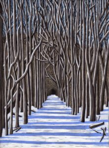 Winter in Warren Woods