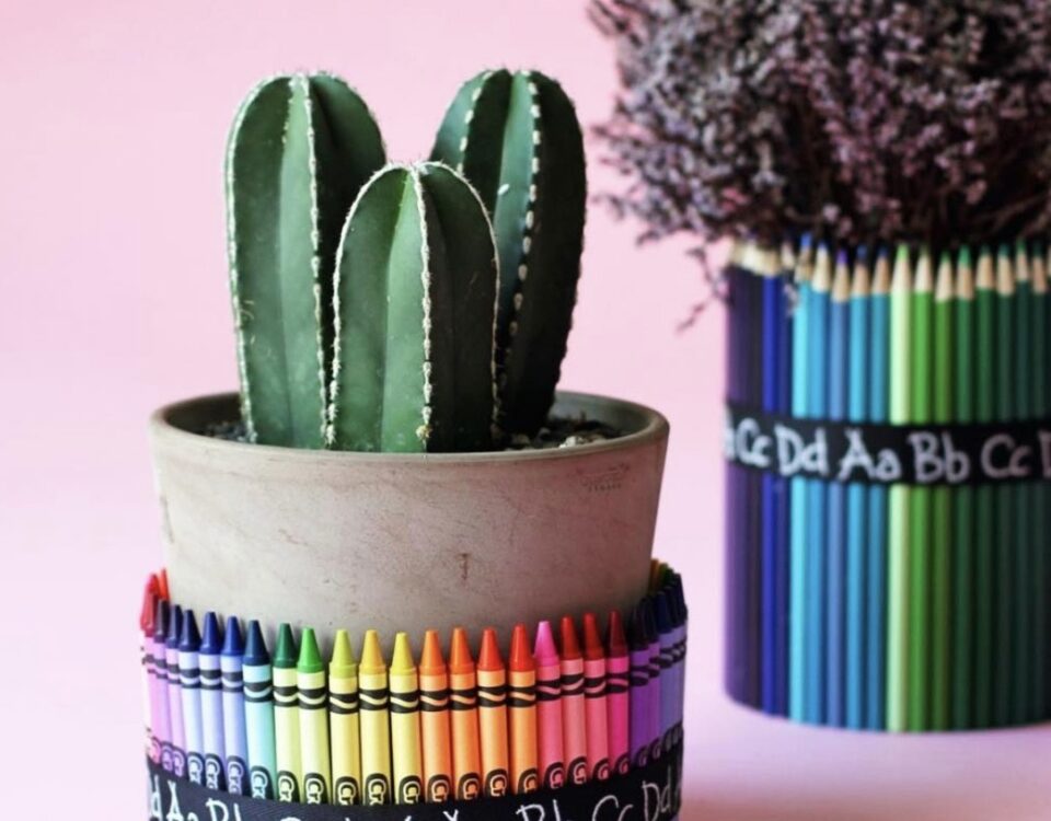 An image of a vase made in the vase and bookmark workshop. The vase has crayons going all around the bottom and is holding a small cactus.