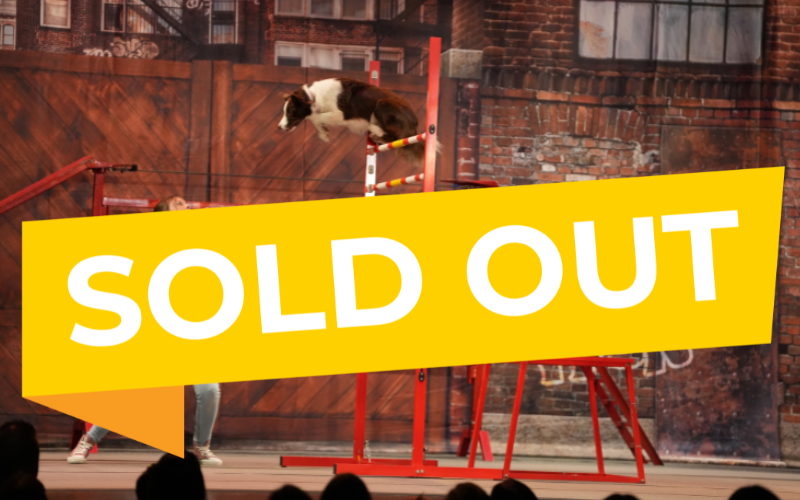 MUTTS SOLD OUT