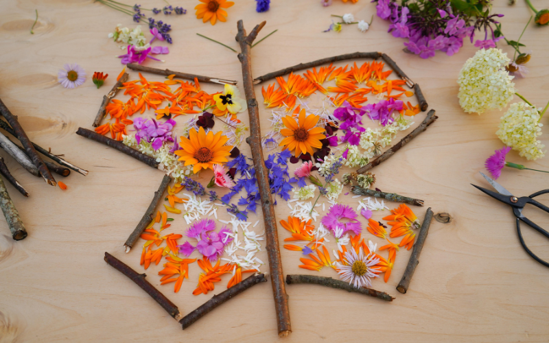 An image of a butterfly made using natural materials in the Summer Craft Studio. A bunch of sticks are arranged as the outline of the butterfly and the wings are filled in with bright orange, pink and purple flowers