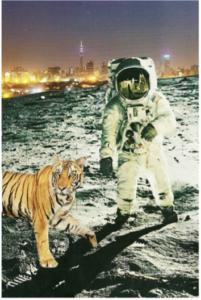 FantasyCollage